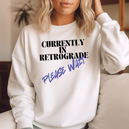 Currently in Retrograde - Please Wait Unisex Sweatshirt | Astrology Lovers