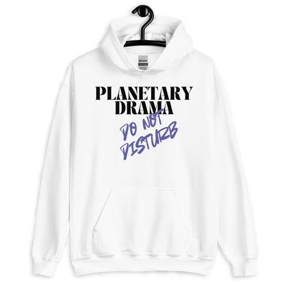 Planetary Drama - Do Not Disturb Hoodie | Astrology Hoodie